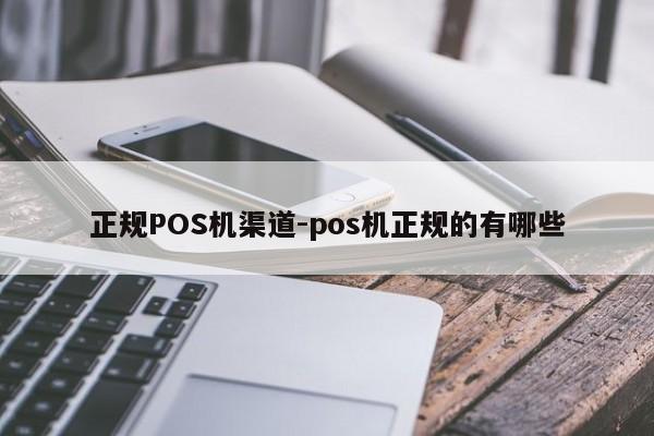 镇沅正规POS机渠道-pos机正规的有哪些